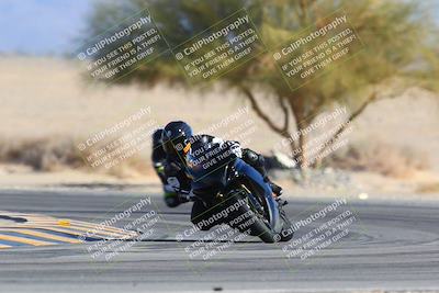 media/Jan-14-2024-SoCal Trackdays (Sun) [[2e55ec21a6]]/Turn 4 Tree of Life (155pm)/